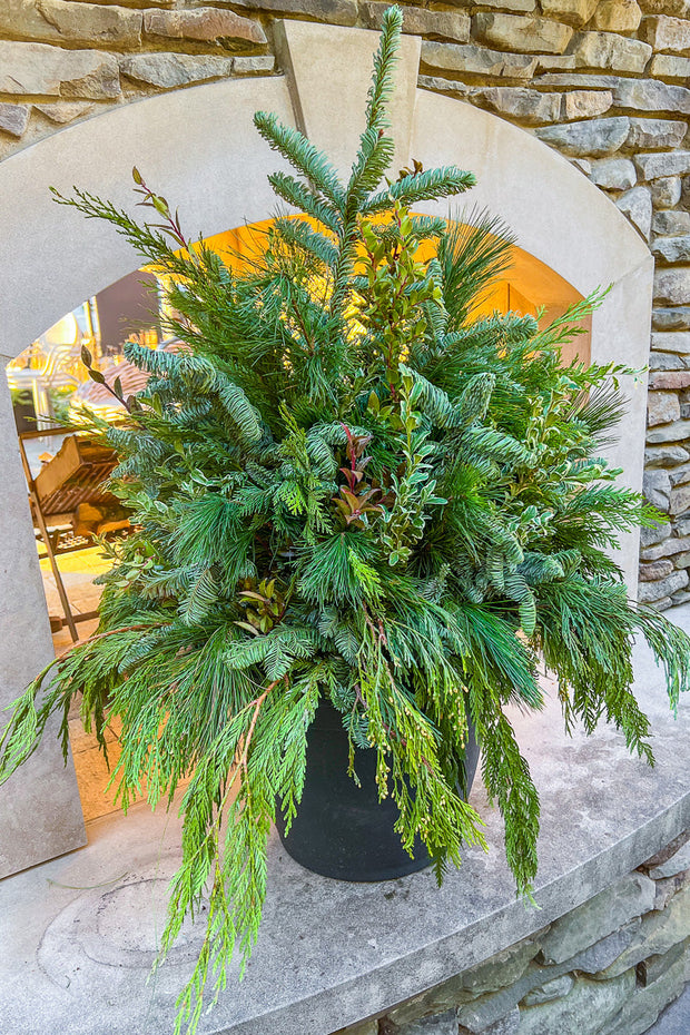 Holiday Pot, Greens 16"