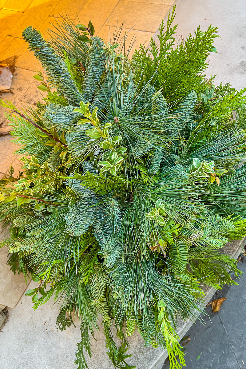 Holiday Bowl, Greens 14"