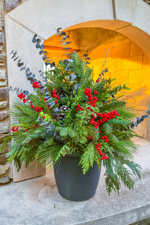 Holiday Pot, Winterberry 14"