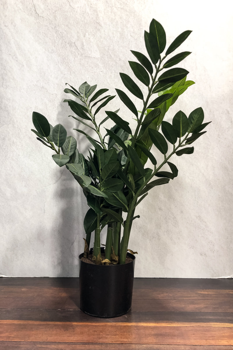 Faux Zamioculcas Plant in Pot 26.75" Green