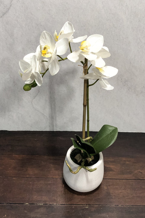 Silk Phalaenopsis Plant White 15"