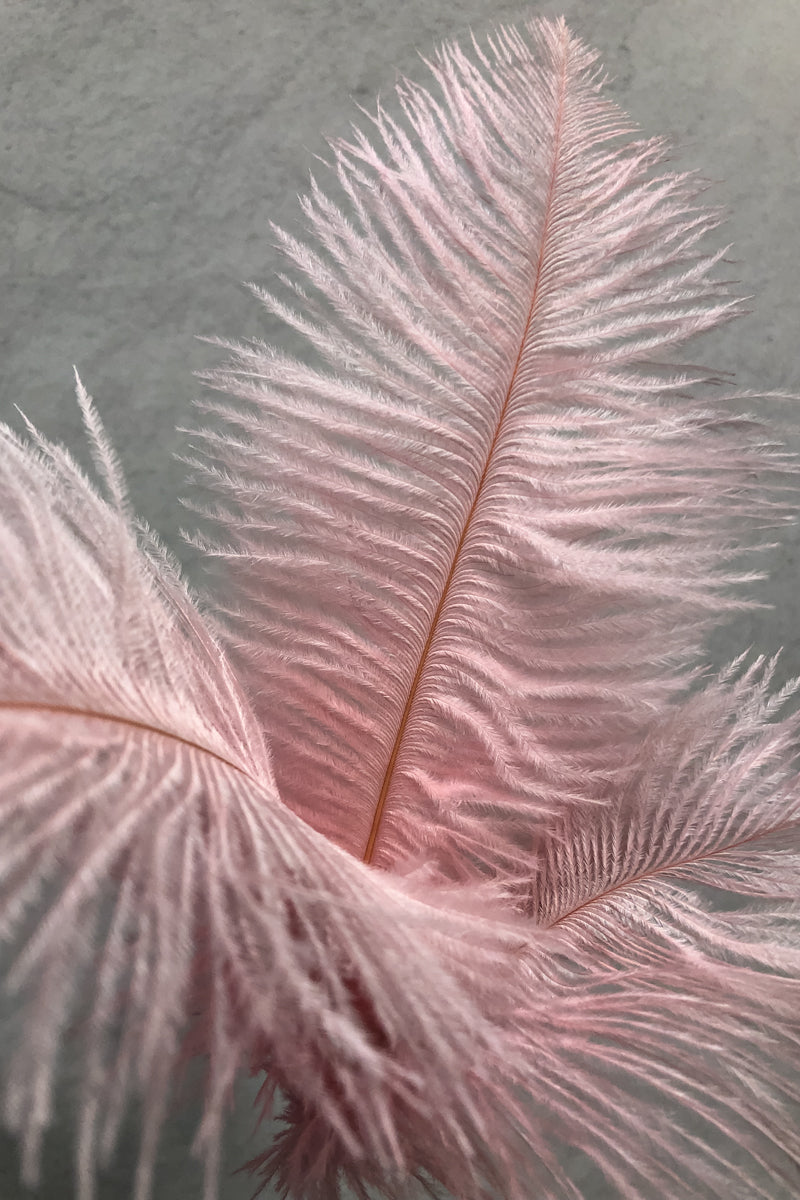 Faux Ostrich Feather Spray 14" Vanilla