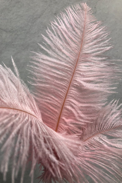 Silk Spray Ostrich Feather 14"