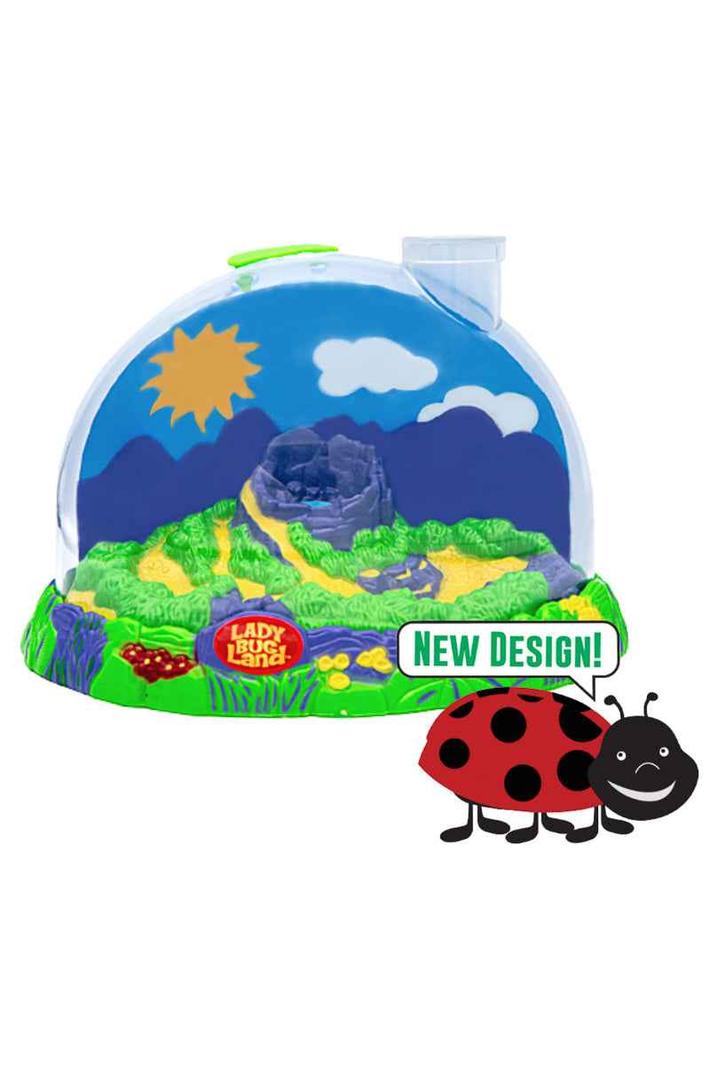 Insect Lore Ladybug Land