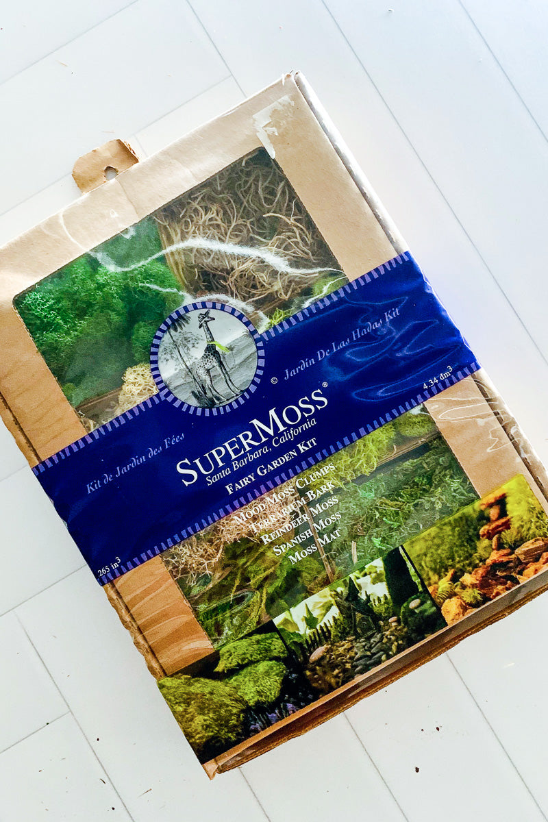 Supermoss Fairy Garden Moss Kit