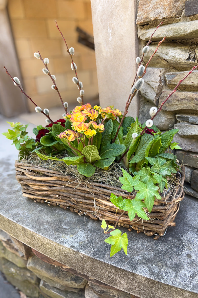 Chalet Signature Prim & Proper Basket