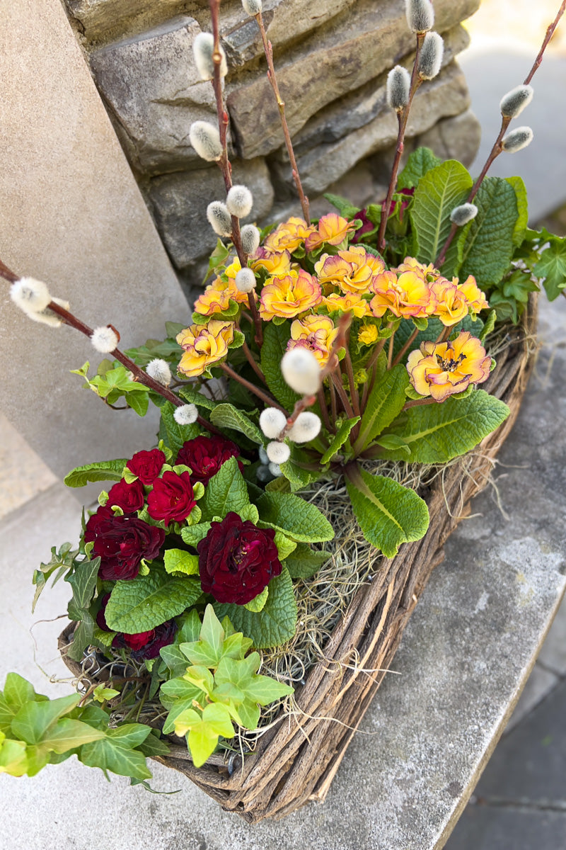 Chalet Signature Prim & Proper Basket