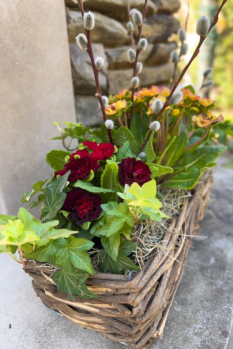 Chalet Signature Prim & Proper Basket