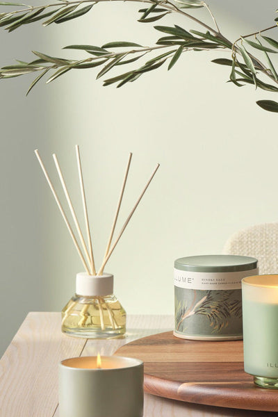 DIFFUSER, HINOKI SAGE