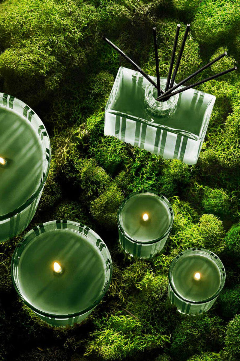 Nest Classic Candle Midnight Moss & Vetiver