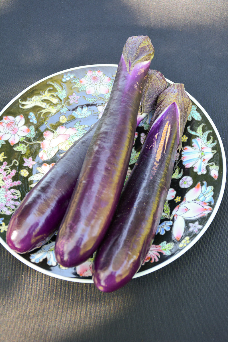 Vegetable, Eggplant Shikou