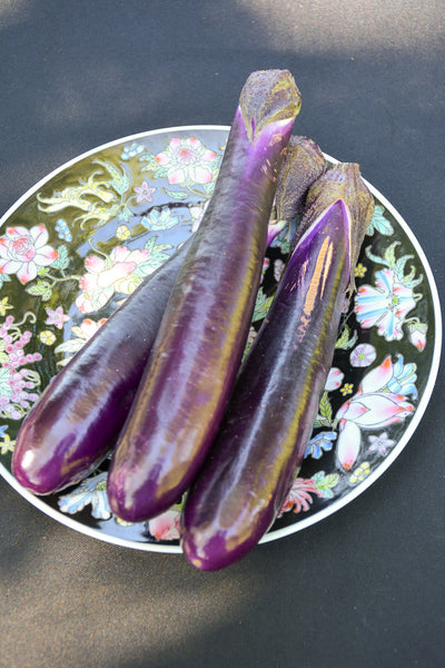 Vegetable, Eggplant Shikou