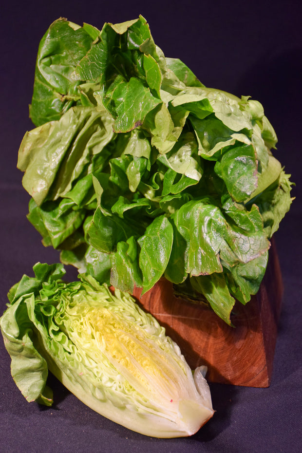 Vegetable,Lettuce Valley Heart