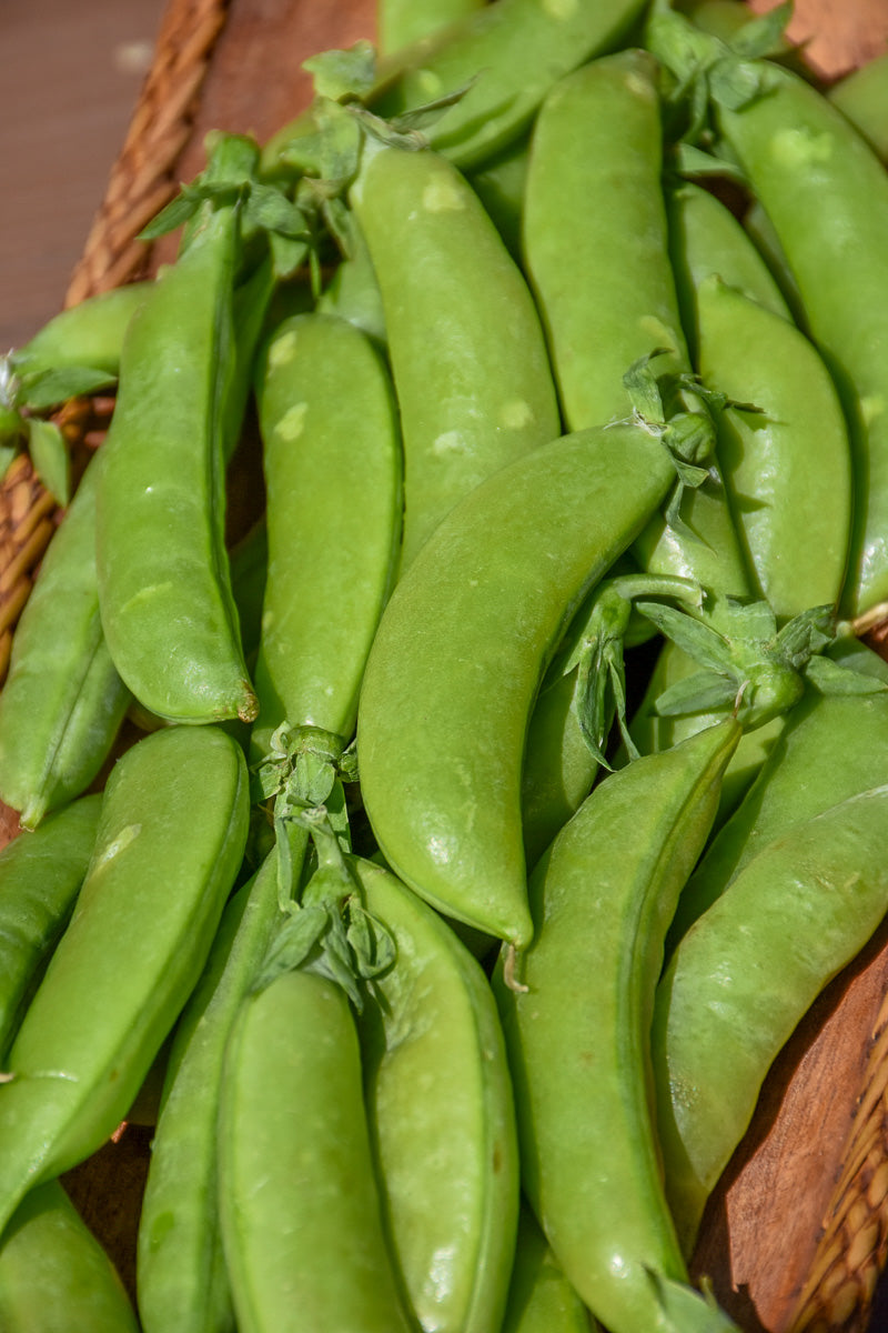 Vegetable, Peas Sugar Snap