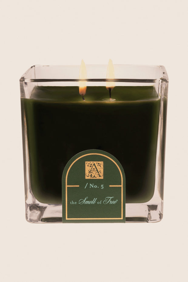 Aromatique The Smell of Tree Cube Glass Candle 12 oz