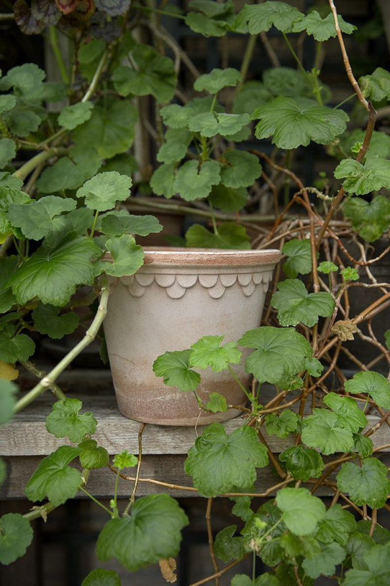 Kobenhavner Pots With Saucer Raw Rosa