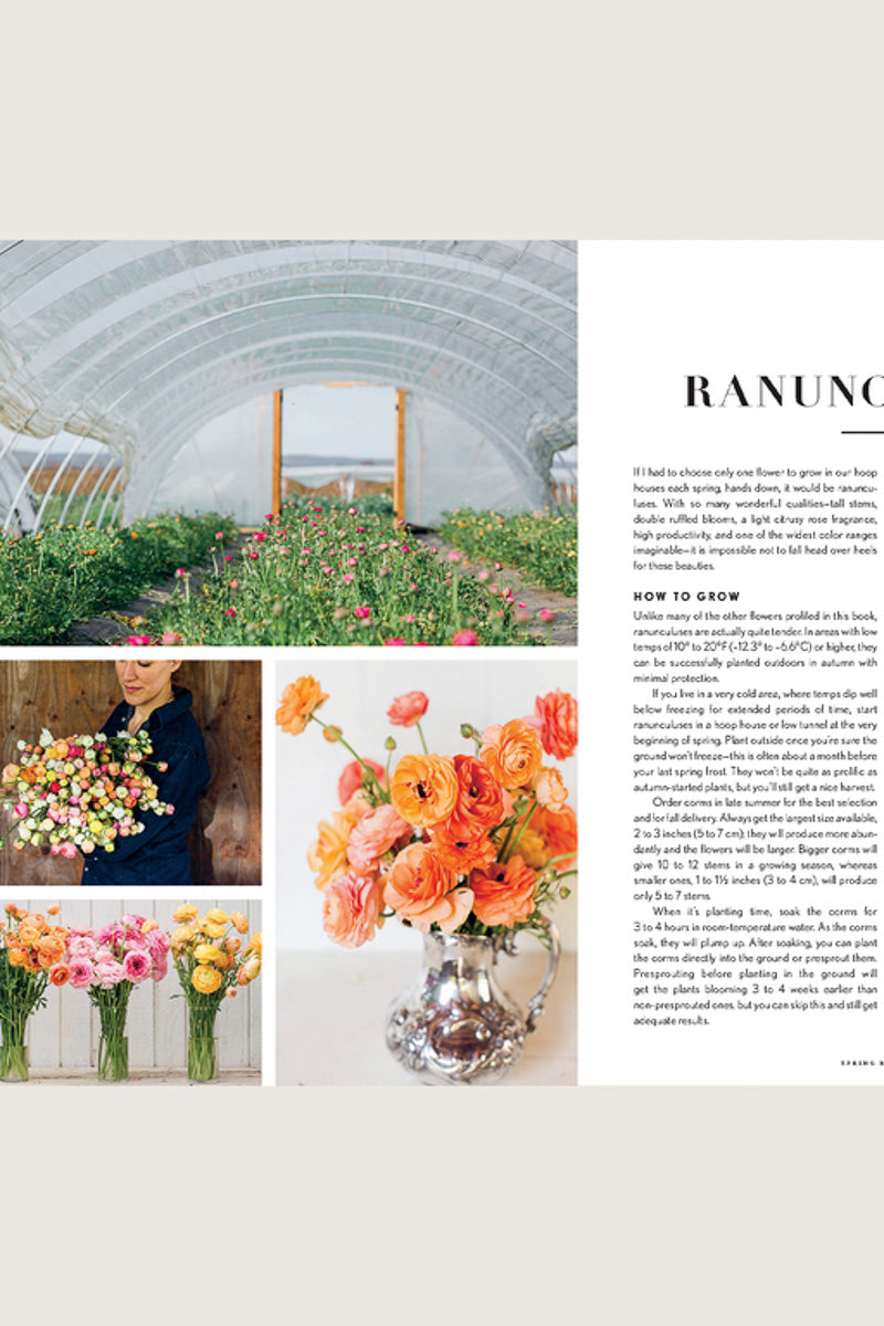 Floret Farm's Cut Flower Garden: Grow, Harvest, and Arrange Stunning Seasonal Blooms