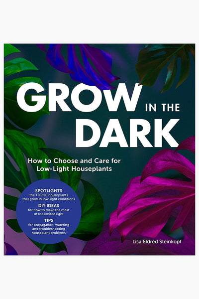 Grow in the Dark: How to Choose and Care for Low-Light Houseplants