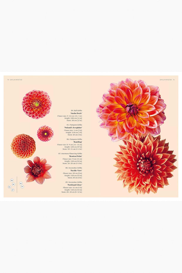 Dahlias: Inspiration, Cultivation and Care for 222 Varieties