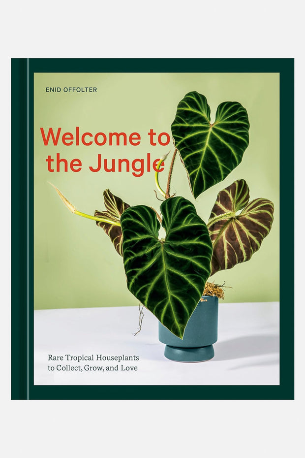 Welcome to the Jungle: Rare Tropical Houseplants to Collect, Grow, and Love