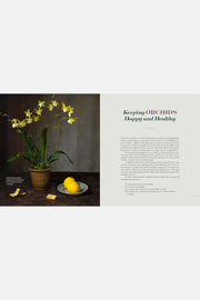 Orchid Modern: Living and Designing With the World's Most Elegant Houseplants