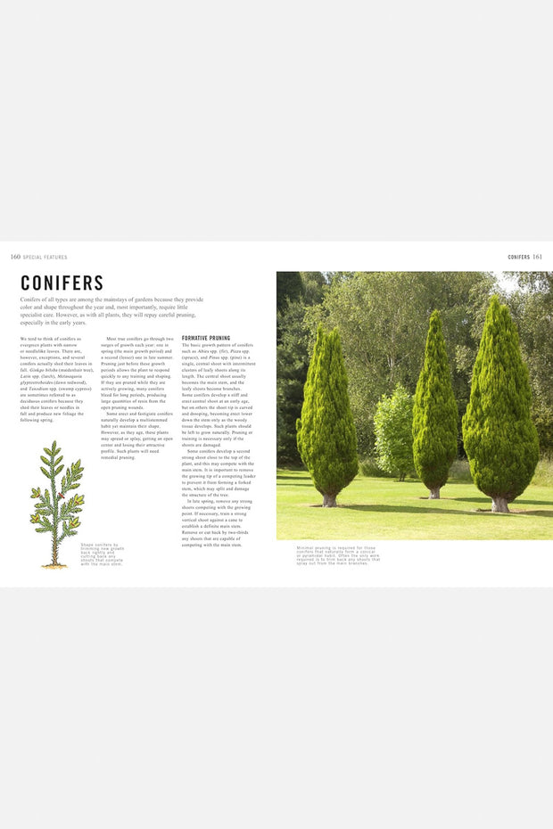 Pruning Simplifed: A Step-by-Step Guide to 50 Popular Trees and Shrubs