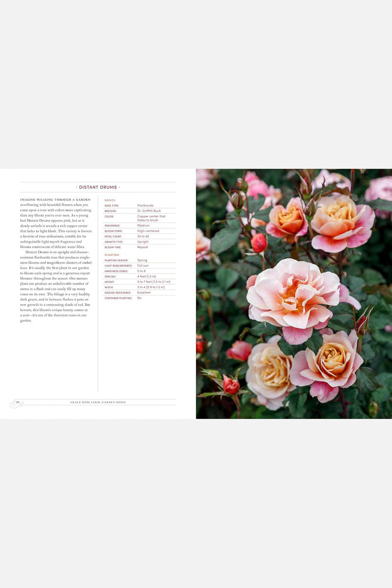 Grace Rose Farm: Garden Roses: The Complete Guide to Growing & Arranging Spectacular Blooms