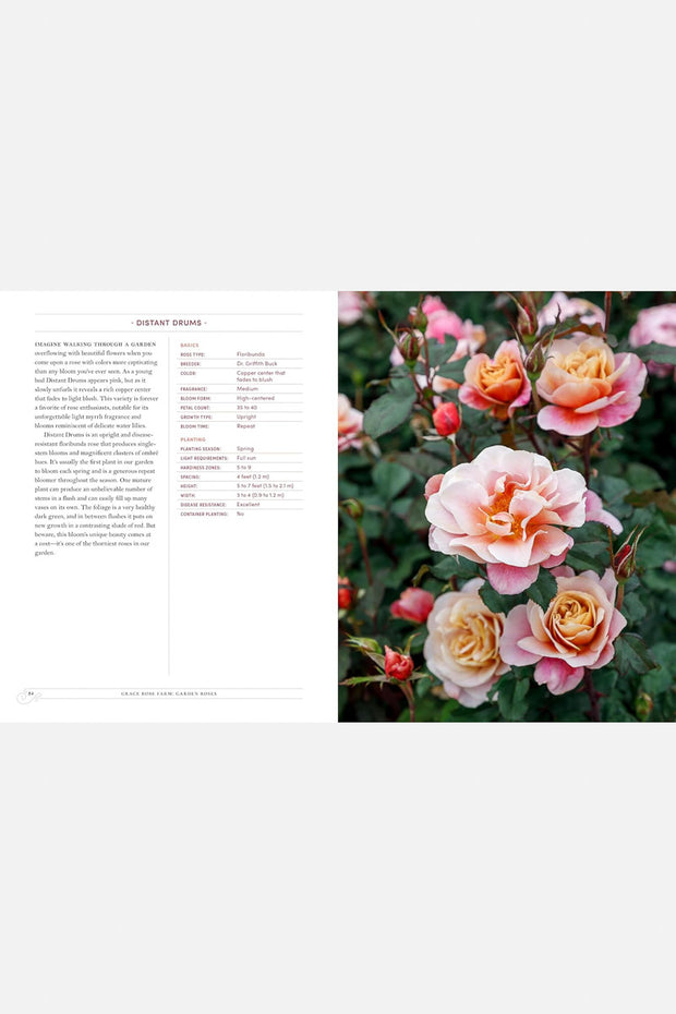 Grace Rose Farm: Garden Roses: The Complete Guide to Growing & Arranging Spectacular Blooms