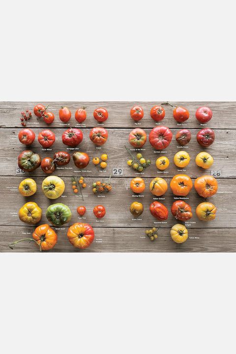 Epic Tomatoes: How to Select and Grow the Best Varieties of All Time HC