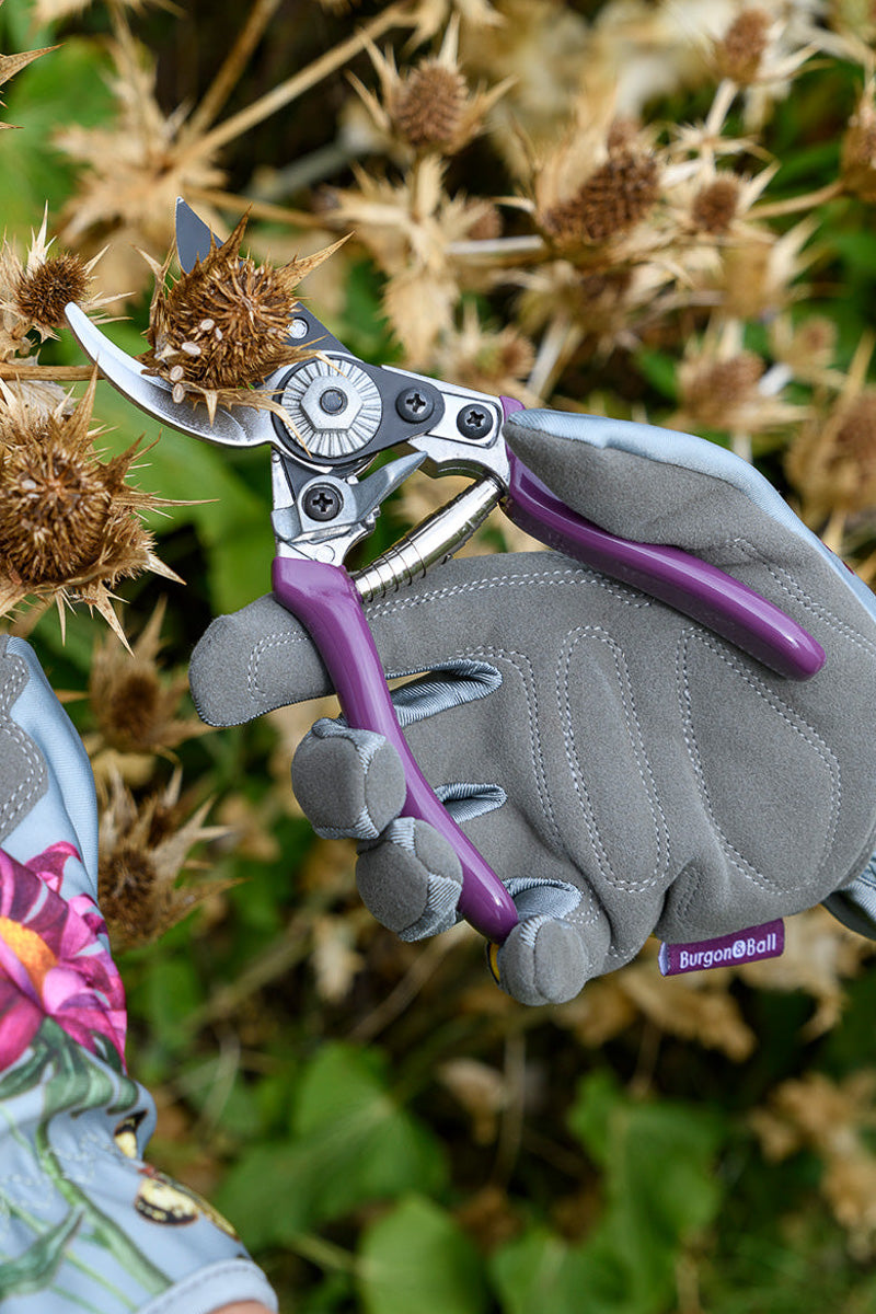 Burgon & Ball Pruner and Holster Gift Set, Asteraceae