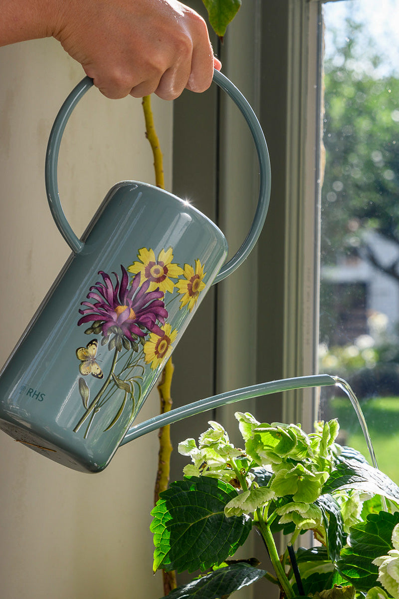 Burgon & Ball Asteraceae Watering Can