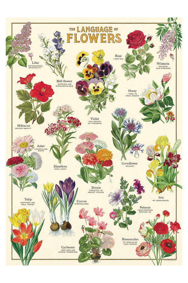 Language of Flowers Wrap Sheet 20" X 28"