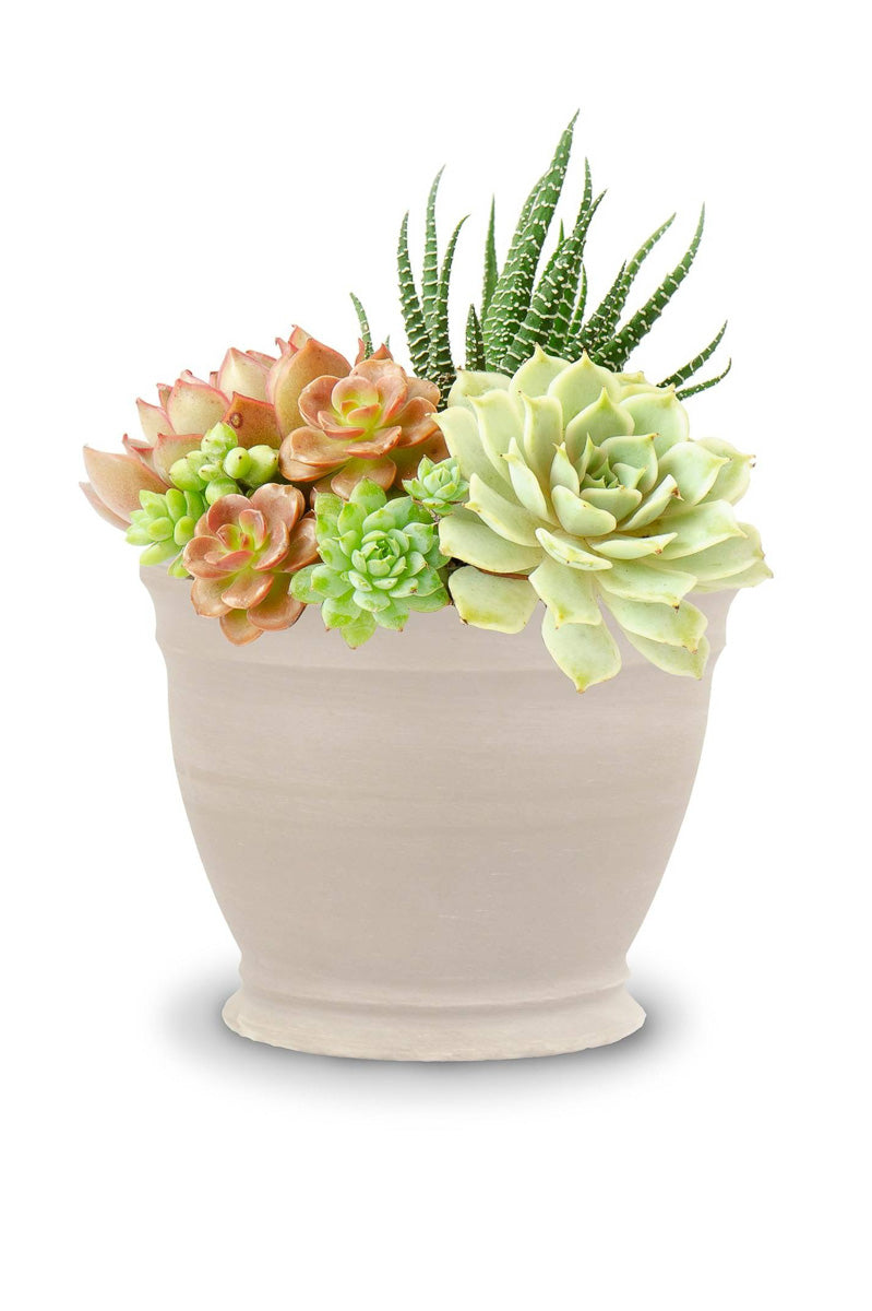 Parisian Planter 9" Clay White Granite
