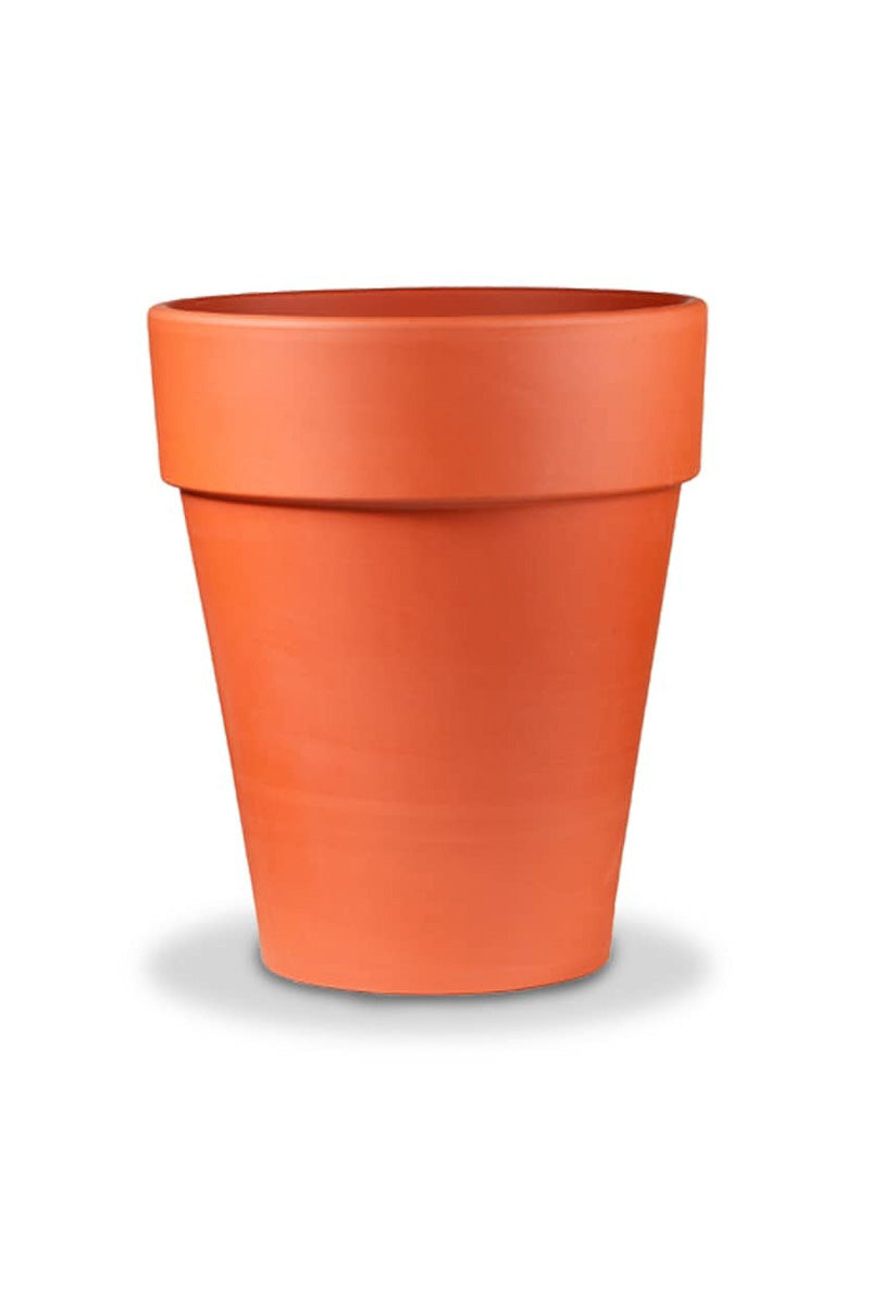 Terra Cotta Rose Flower Pot 10"