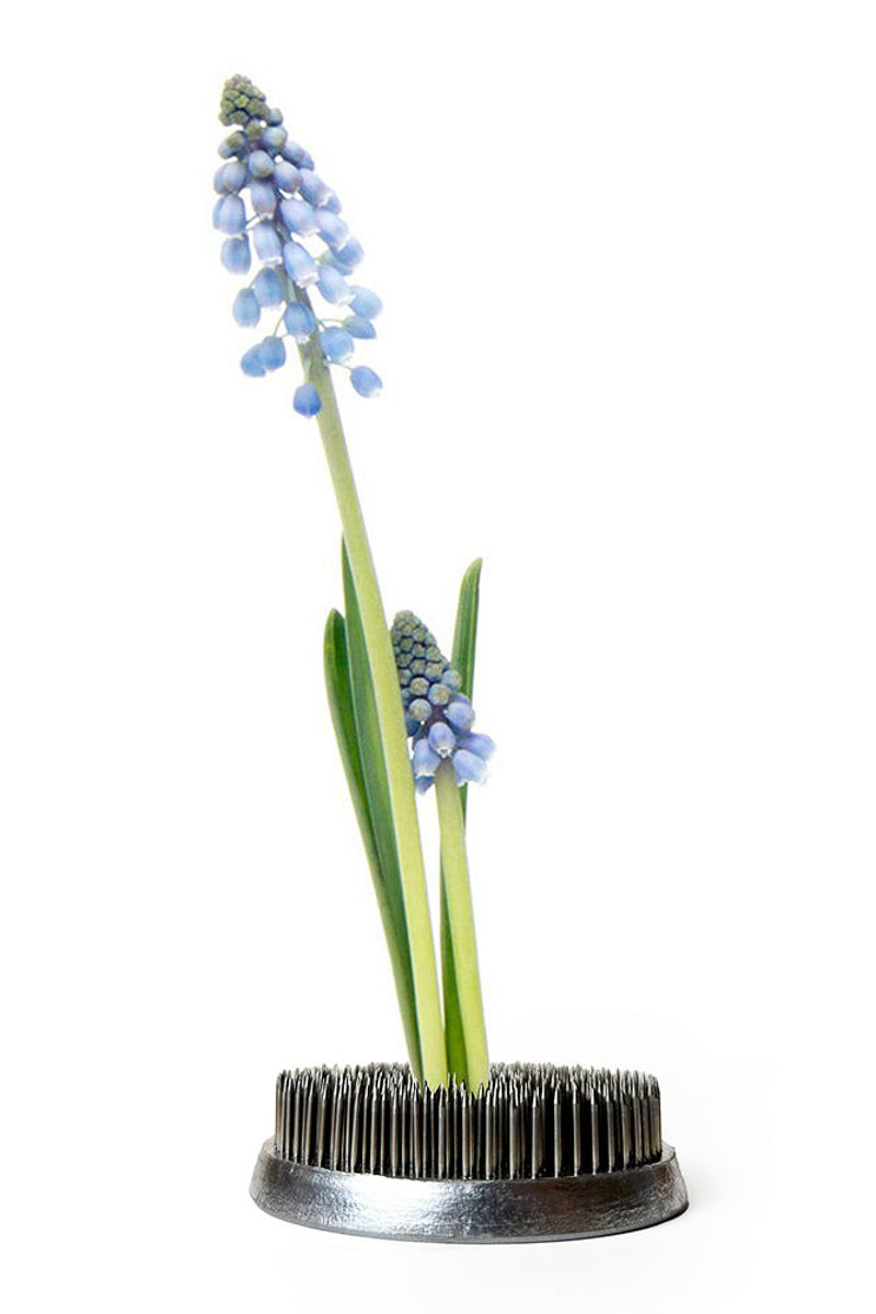 Chive Flower Arranger Frog Rectangle