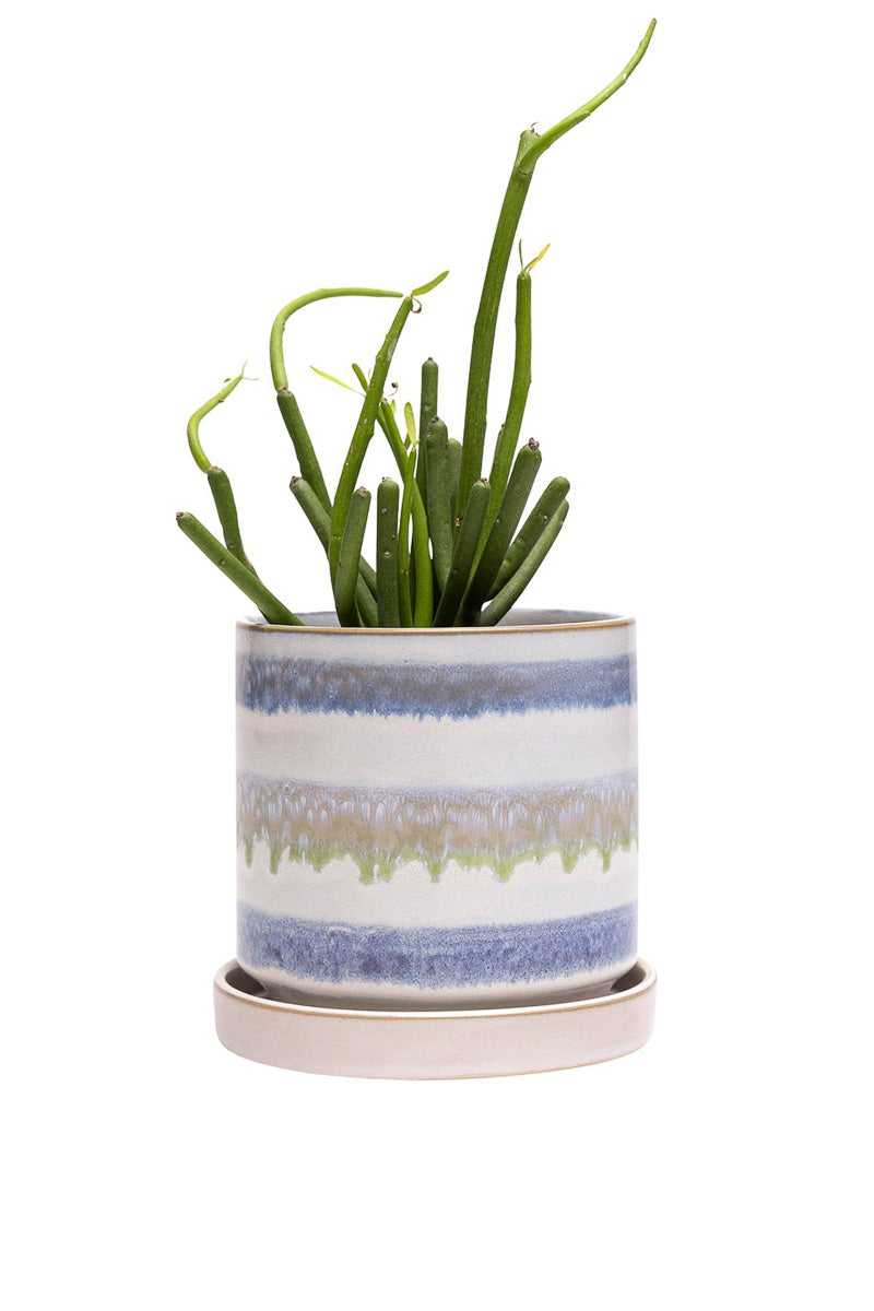 Chive Pot & Saucer Minute 2 With Layers 5" Blue Green