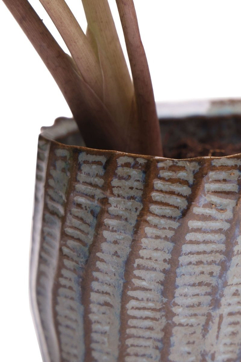 Chive Planter Katakana 4" Brown