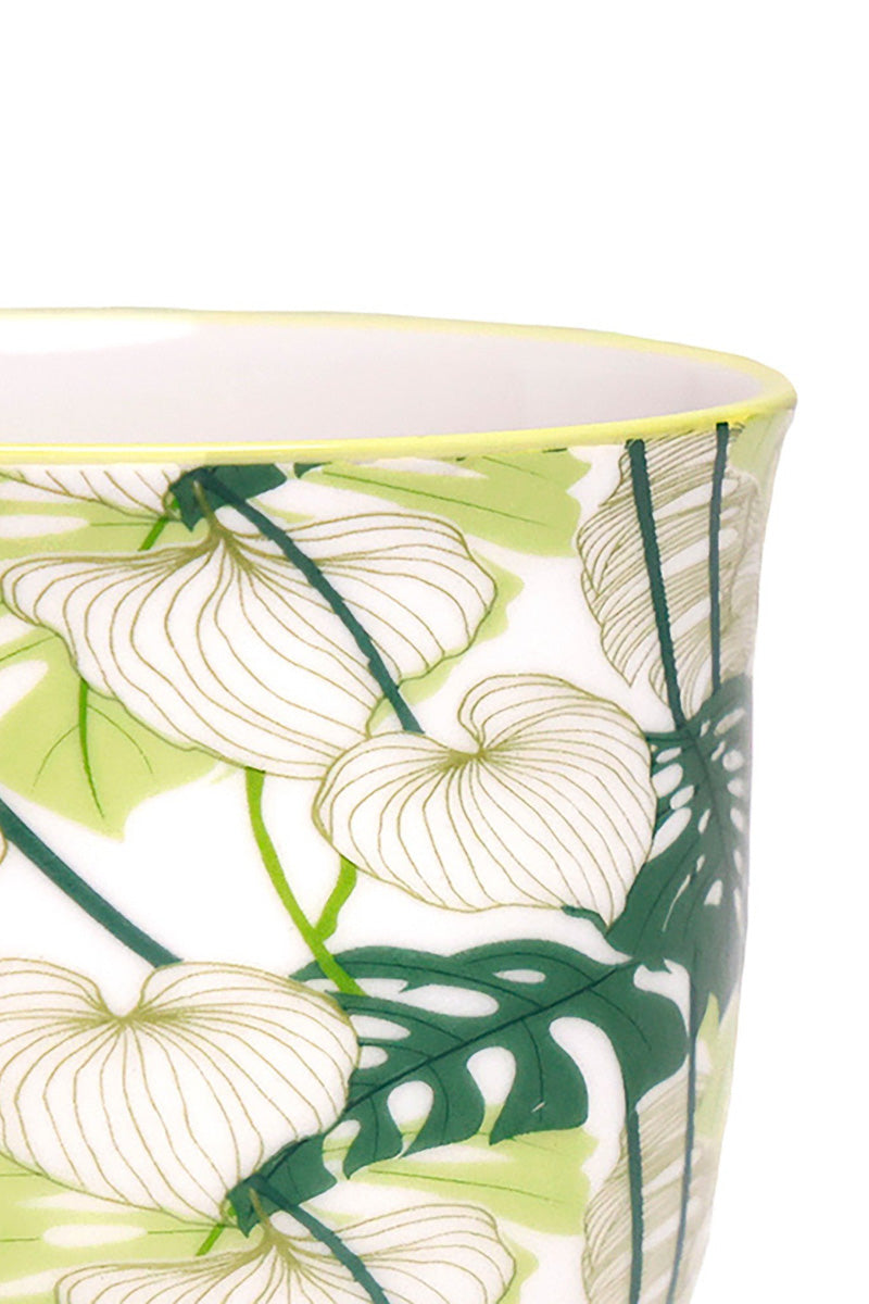 Chive Pot & Saucer Liberte 5 With Monstera 3.25"