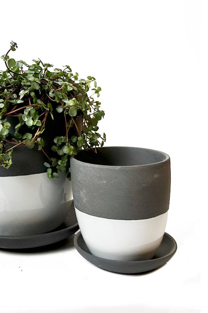 Chive Pot & Saucer Porcelain 3" Black