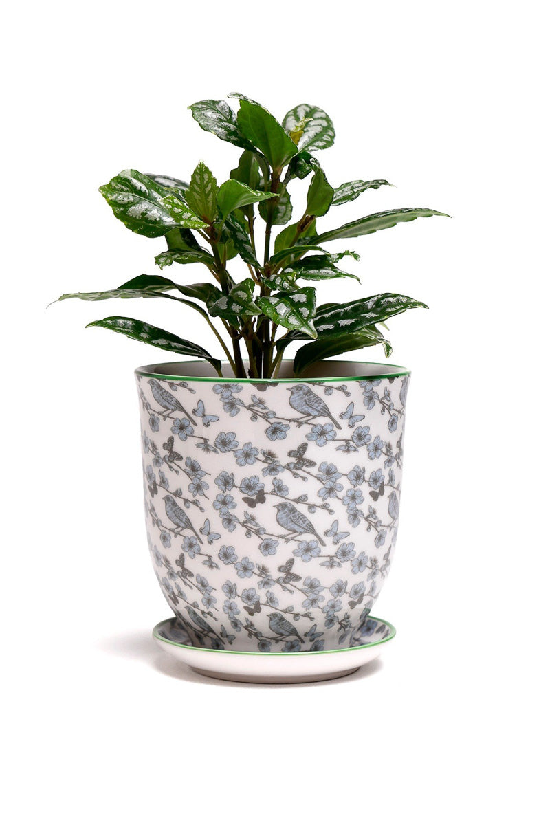 Chive Pot & Saucer Liberte 5 With Flowers 4.25" Blue