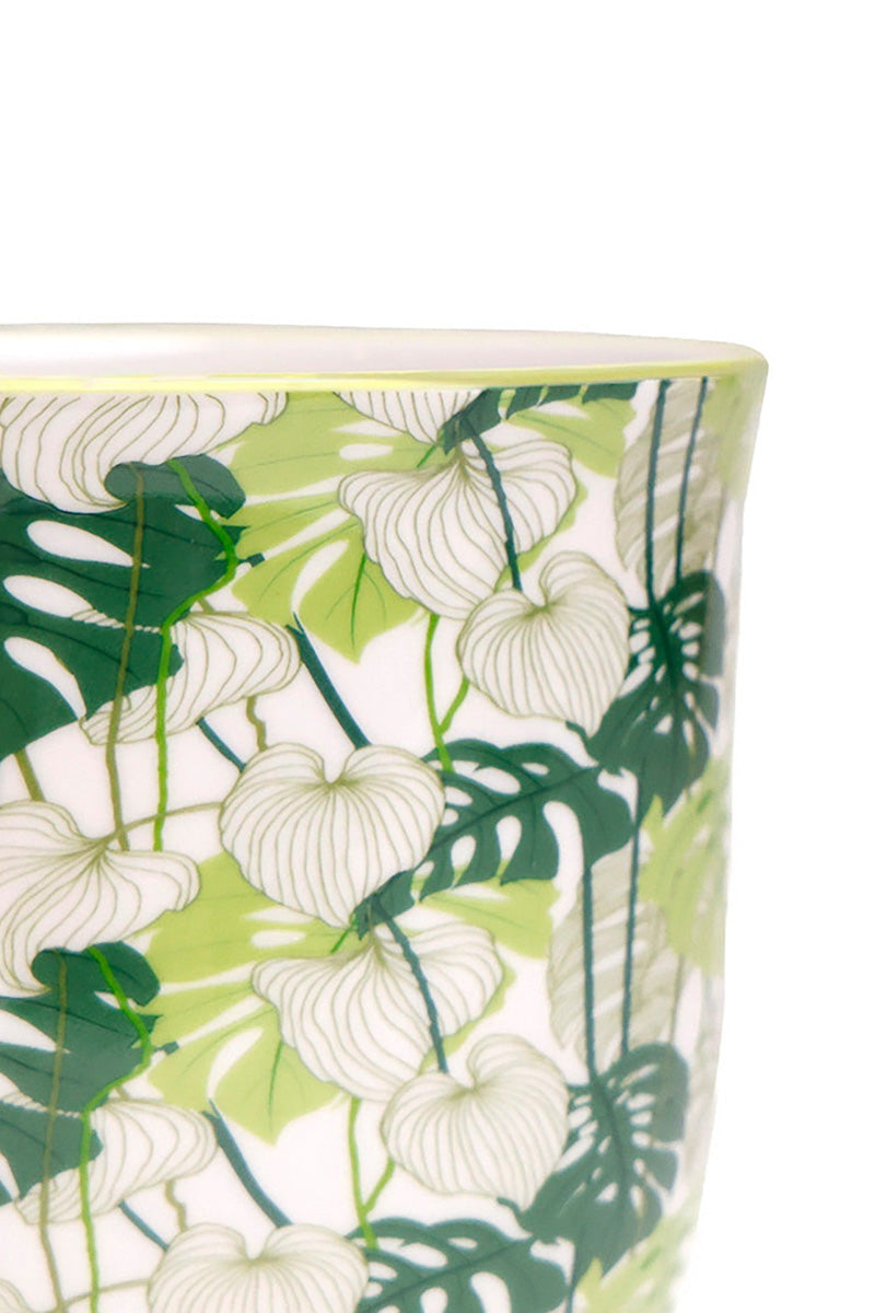 Chive Pot & Saucer Liberte 5 With Monstera 4.25"