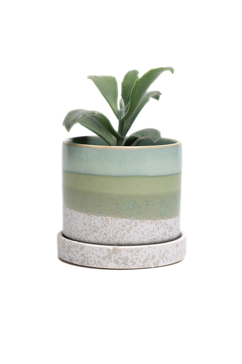 Chive Pot & Saucer Minute1 Cement 3" Green