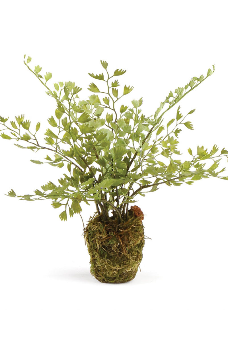Faux Maidenhair Fern Drop-In 9"