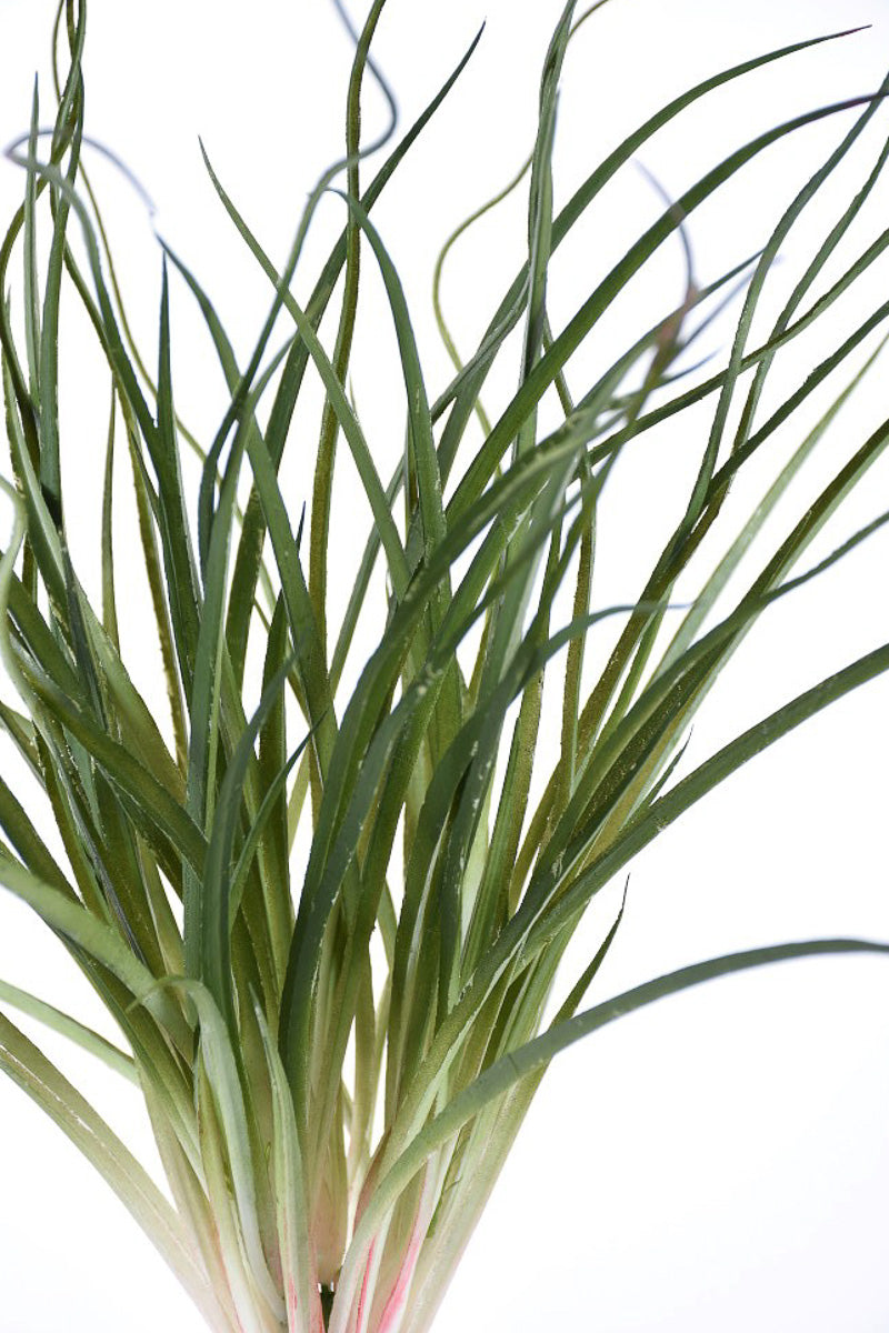 SILK BUSH GRASS PK/GRN 20"