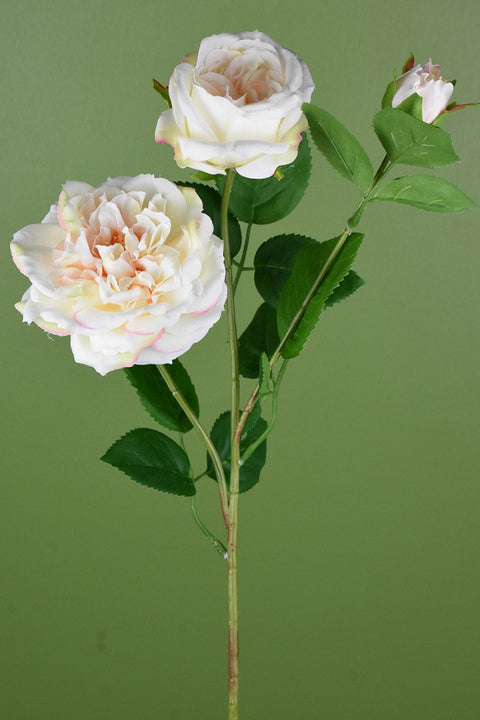 SILK STEM WILD ROSE 24"