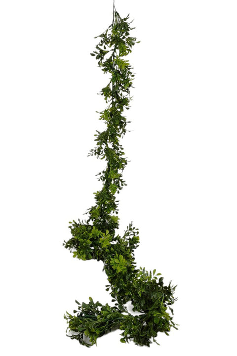 GARLAND, BOXWOOD 6'