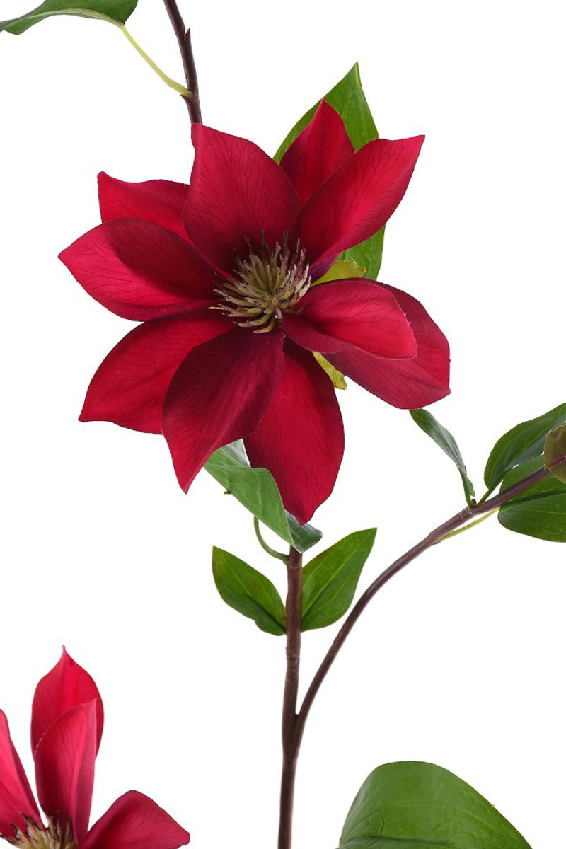 Faux Natural Touch Clematis Spray 36" Red