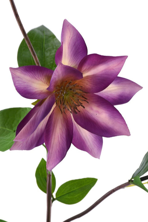 SILK SPRAY NT CLEMATIS PU 36"