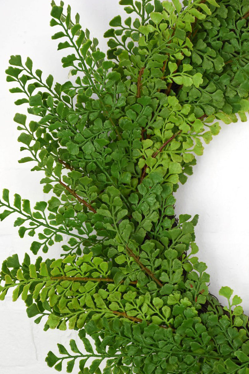 WREATH ST MAIDENHAIR GRN 24"