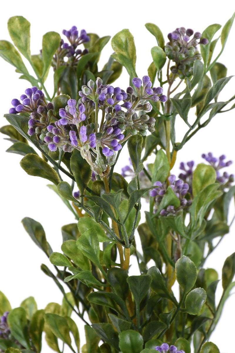 SILK BOXWOOD/BERRY BUSH 17"